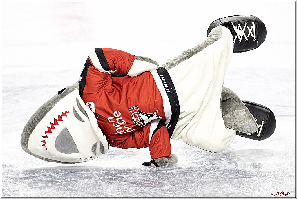 PENNY DEL;  Koelner Haie - Eisbaeren Berlin; Koeln, 28.12.2021